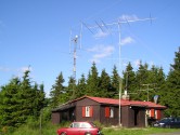 P1010031.jpg
