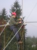 Sklízení antén 2009