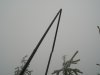 P1010020