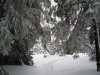 09_rozhledna