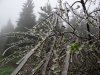 DSC05071